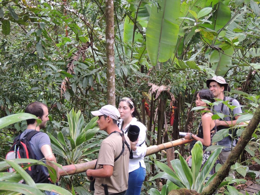 Yatama Rainforest Ecolodge Sarapiqui Exterior photo